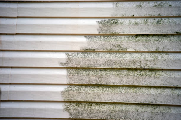 Best Hoarding Cleanup  in Linn, MO